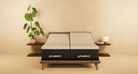 Adjustable Bed + Morphe Original Bundle